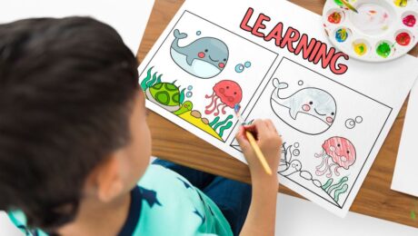 Kindergarten Curriculum